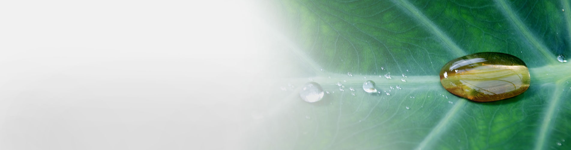 Environment protection